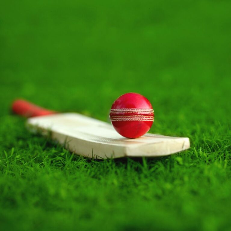 Cricket Club Case Study 768x768