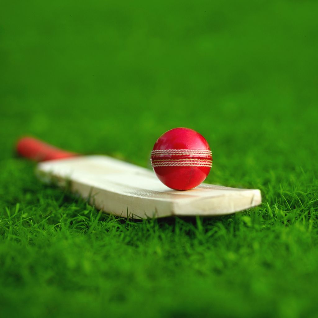 Cricket Club Case Study